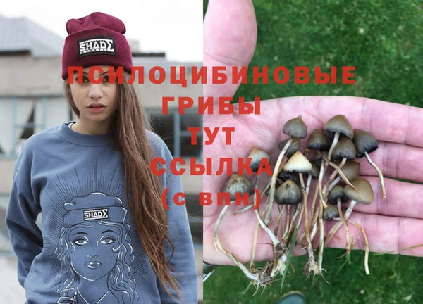 дурь Алексеевка