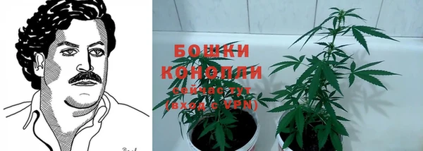 дурь Алексеевка