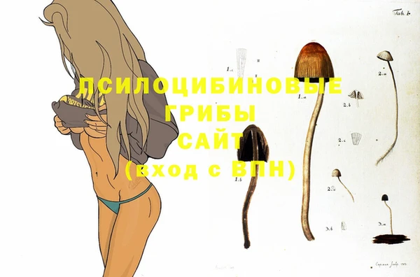 синтетический гашиш Алексин