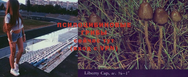 дурь Алексеевка