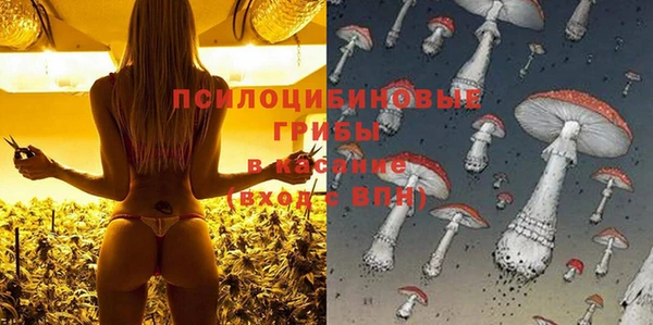 синтетический гашиш Алексин