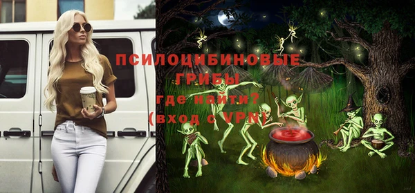 дурь Алексеевка