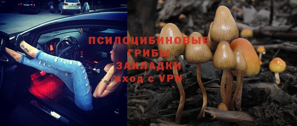 героин Алзамай