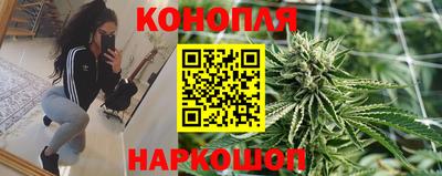 дмт Малгобек