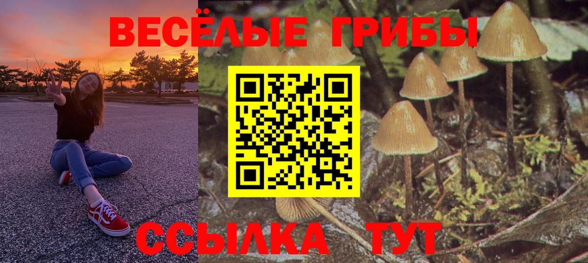 Псилоцибиновые грибы Magic Shrooms Камышин