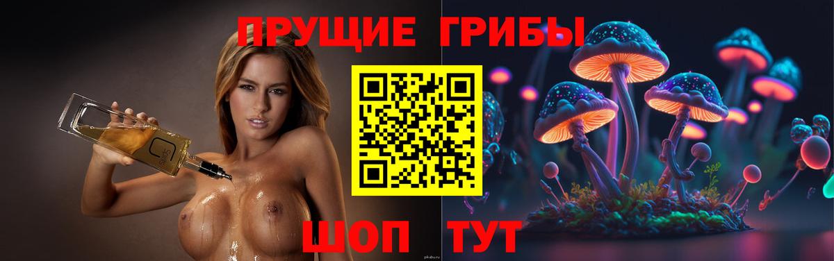 Камышин  цены наркотик  Вход с VPN  Галлюциногенные грибы Cubensis 